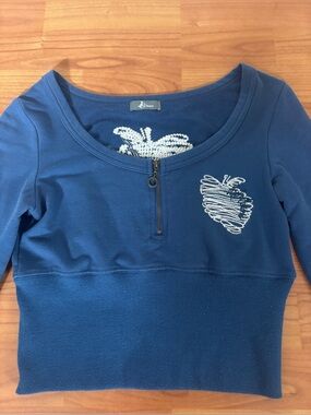 Y2K Blue Long Sleeve Apple Design 2000’s Crop Top Sweater